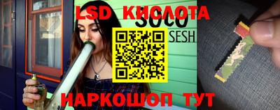 spice Будённовск