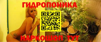 стафф Бугуруслан